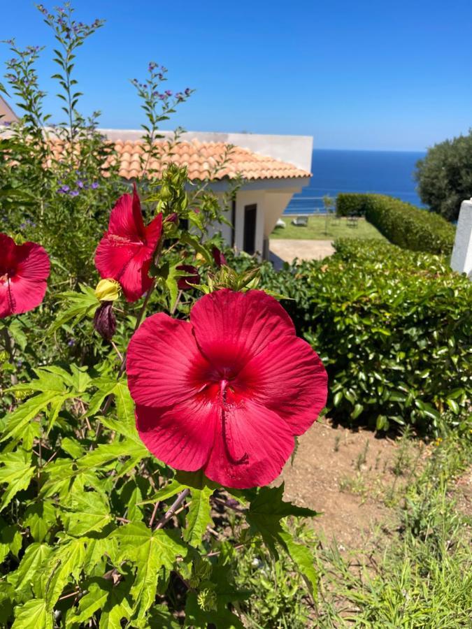 Villa Sofia *Luxury Experience In Calabria Zambrone Ngoại thất bức ảnh